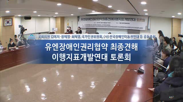 UN 장애인권리협약 최종견해 이행지표 개발 토론회 [전자자료]